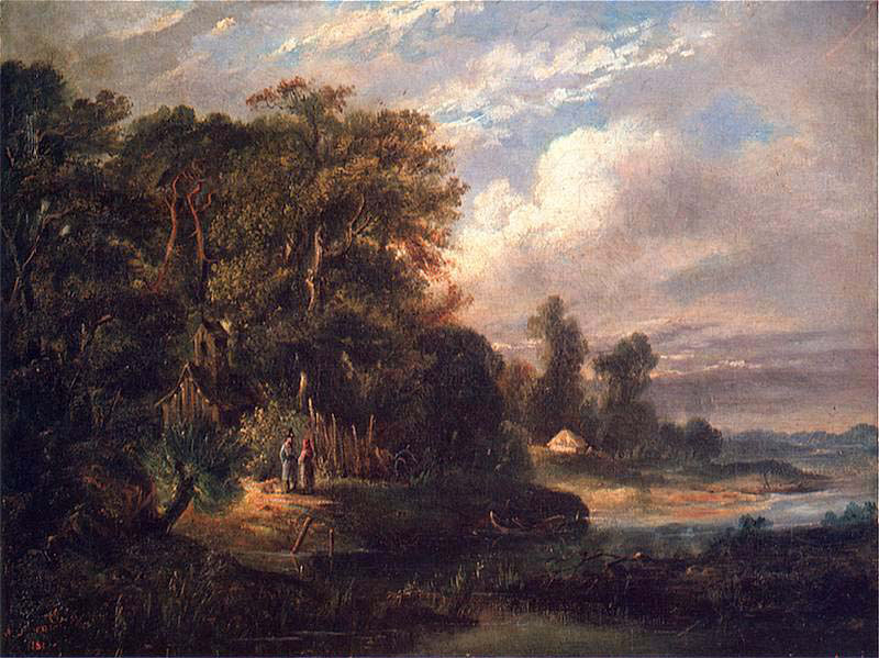 Forest Landscape